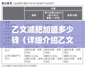乙文减肥加盟多少钱（详细介绍乙文减肥加盟费用及流程）