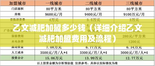 乙文减肥加盟多少钱（详细介绍乙文减肥加盟费用及流程）