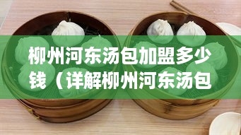 柳州河东汤包加盟多少钱（详解柳州河东汤包加盟费用）