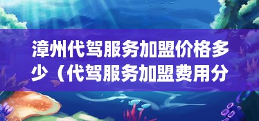 漳州代驾服务加盟价格多少（代驾服务加盟费用分析）