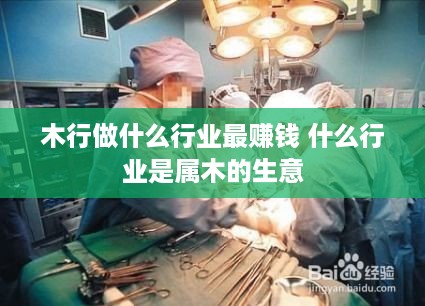 木行做什么行业最赚钱 什么行业是属木的生意