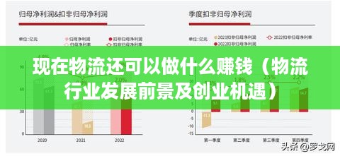 现在物流还可以做什么赚钱（物流行业发展前景及创业机遇）