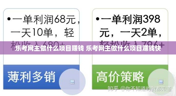乐考网主做什么项目赚钱 乐考网主做什么项目赚钱快