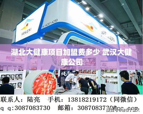 湖北大健康项目加盟费多少 武汉大健康公司