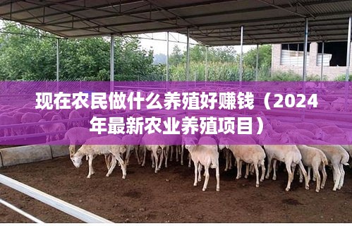 现在农民做什么养殖好赚钱（2024年最新农业养殖项目）