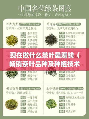 现在做什么茶叶最赚钱（畅销茶叶品种及种植技术）