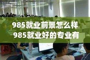 985就业前景怎么样 985就业好的专业有哪些