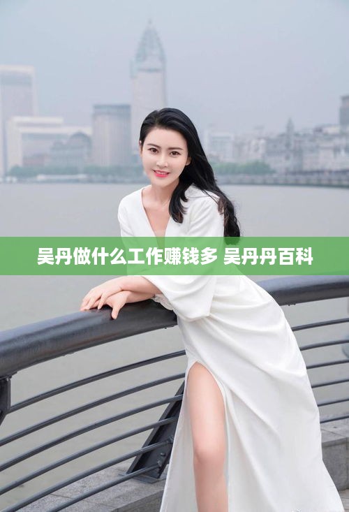 吴丹做什么工作赚钱多 吴丹丹百科