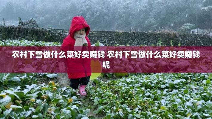 农村下雪做什么菜好卖赚钱 农村下雪做什么菜好卖赚钱呢