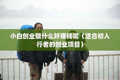 小白创业做什么好赚钱呢（适合初入行者的创业项目）