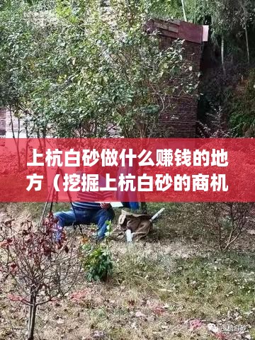 上杭白砂做什么赚钱的地方（挖掘上杭白砂的商机）