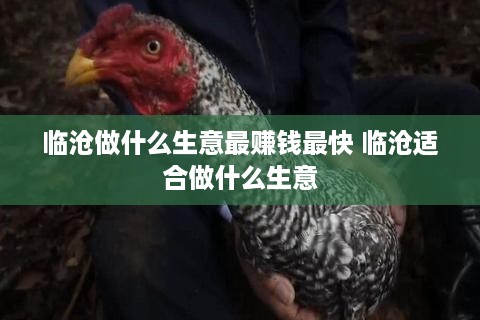 临沧做什么生意最赚钱最快 临沧适合做什么生意