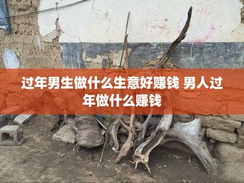 过年男生做什么生意好赚钱 男人过年做什么赚钱