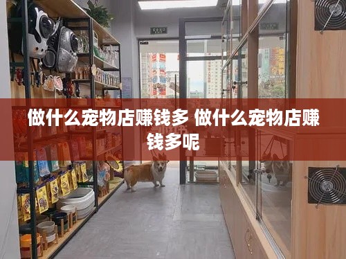 做什么宠物店赚钱多 做什么宠物店赚钱多呢