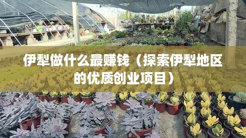 伊犁做什么最赚钱（探索伊犁地区的优质创业项目）