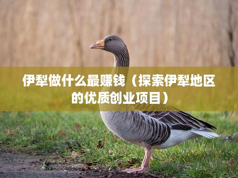 伊犁做什么最赚钱（探索伊犁地区的优质创业项目）