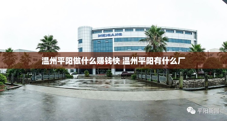 温州平阳做什么赚钱快 温州平阳有什么厂