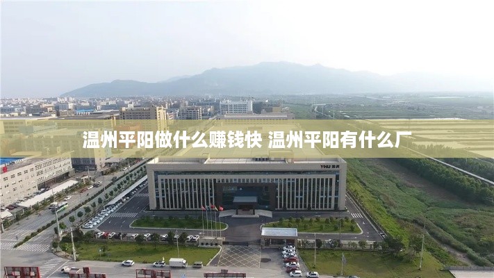 温州平阳做什么赚钱快 温州平阳有什么厂