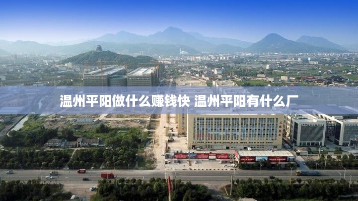 温州平阳做什么赚钱快 温州平阳有什么厂