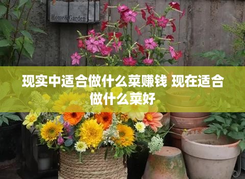 现实中适合做什么菜赚钱 现在适合做什么菜好