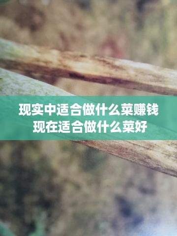 现实中适合做什么菜赚钱 现在适合做什么菜好