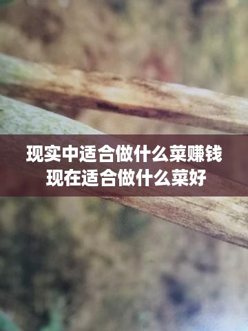 现实中适合做什么菜赚钱 现在适合做什么菜好
