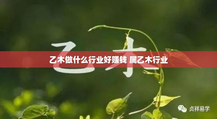 乙木做什么行业好赚钱 属乙木行业