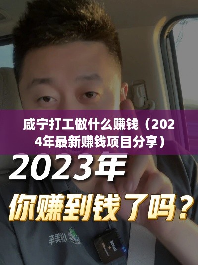 咸宁打工做什么赚钱（2024年最新赚钱项目分享）