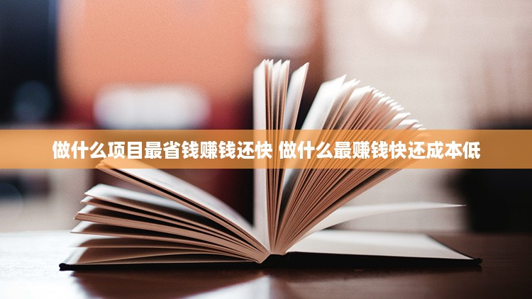 做什么项目最省钱赚钱还快 做什么最赚钱快还成本低