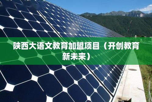 陕西大语文教育加盟项目（开创教育新未来）