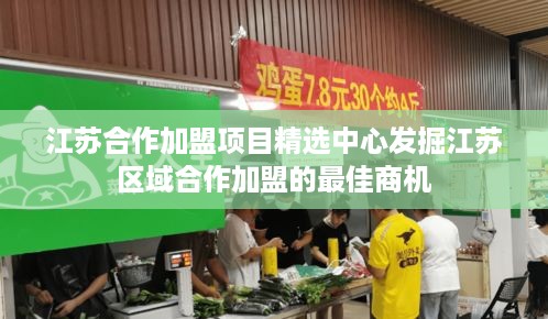 江苏合作加盟项目精选中心发掘江苏区域合作加盟的最佳商机
