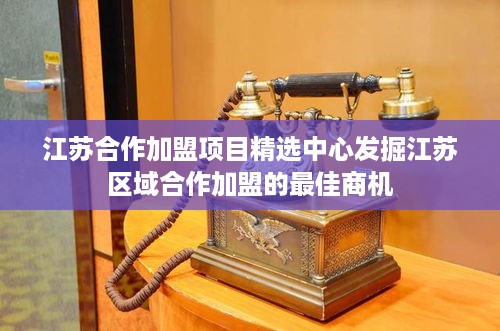 江苏合作加盟项目精选中心发掘江苏区域合作加盟的最佳商机