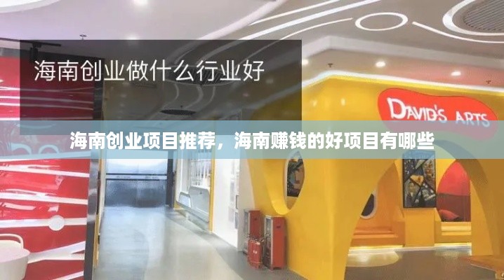 海南创业项目推荐，海南赚钱的好项目有哪些
