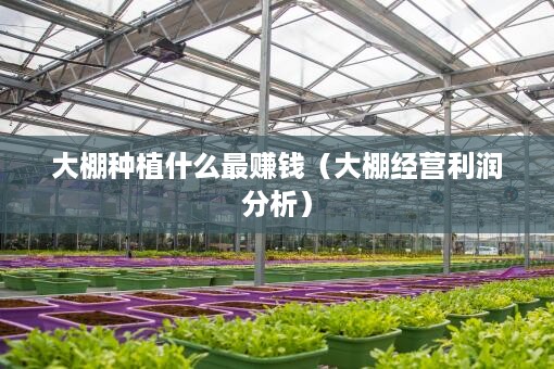 大棚种植什么最赚钱（大棚经营利润分析）
