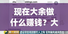 现在大余做什么赚钱？大余创业项目排行榜，稳赚不赔的投资方向