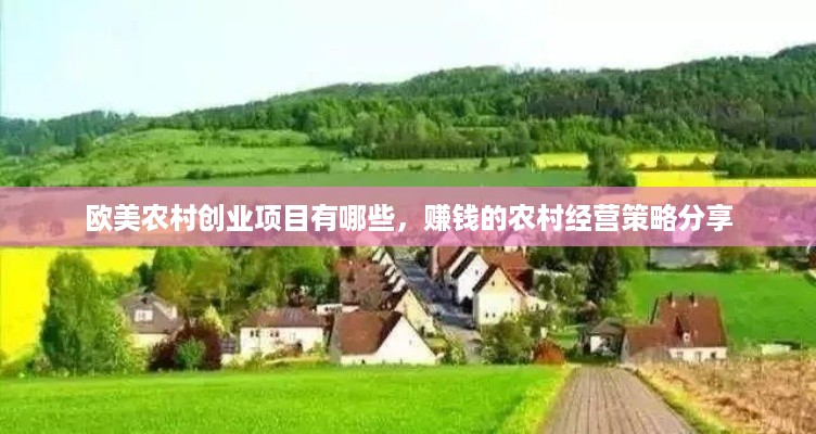 欧美农村创业项目有哪些，赚钱的农村经营策略分享