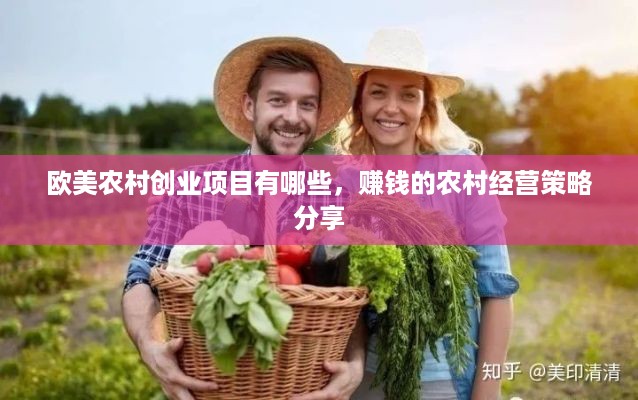 欧美农村创业项目有哪些，赚钱的农村经营策略分享