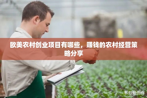欧美农村创业项目有哪些，赚钱的农村经营策略分享
