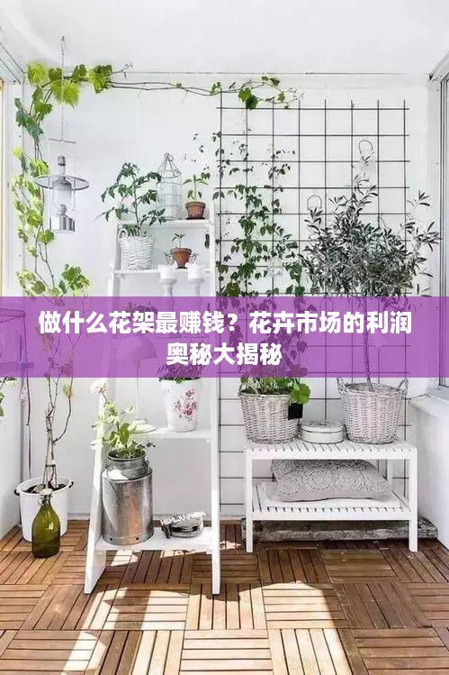 做什么花架最赚钱？花卉市场的利润奥秘大揭秘