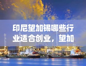 印尼望加锡哪些行业适合创业，望加锡赚钱项目大揭秘