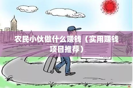 农民小伙做什么赚钱（实用赚钱项目推荐）
