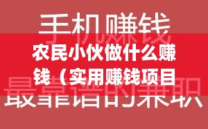 农民小伙做什么赚钱（实用赚钱项目推荐）