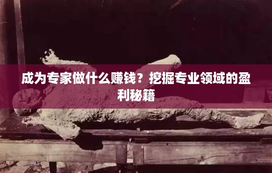 成为专家做什么赚钱？挖掘专业领域的盈利秘籍