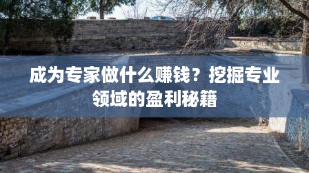 成为专家做什么赚钱？挖掘专业领域的盈利秘籍
