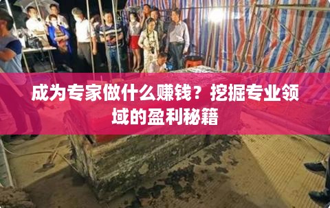 成为专家做什么赚钱？挖掘专业领域的盈利秘籍