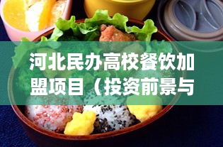 河北民办高校餐饮加盟项目（投资前景与风险分析）