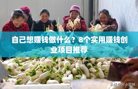 自己想赚钱做什么？8个实用赚钱创业项目推荐