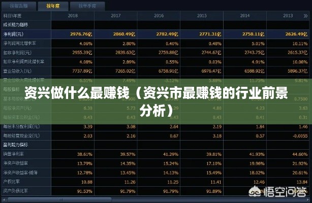 资兴做什么最赚钱（资兴市最赚钱的行业前景分析）