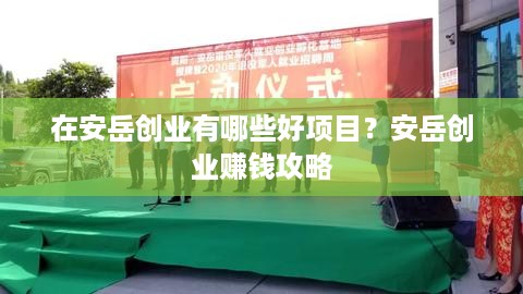 在安岳创业有哪些好项目？安岳创业赚钱攻略