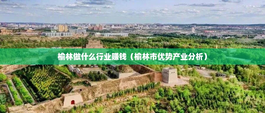 榆林做什么行业赚钱（榆林市优势产业分析）